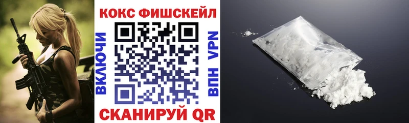 КОКАИН Fish Scale  Купить закладки  Купино 