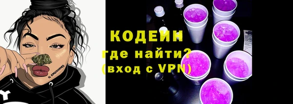дурь Лабытнанги