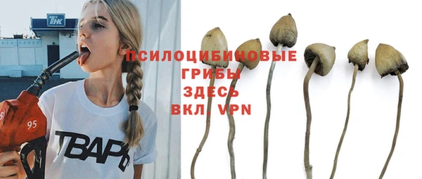 дурь Лабытнанги
