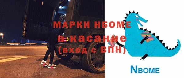 крисы Гатчина