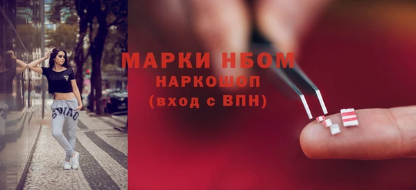 дурь Лабытнанги