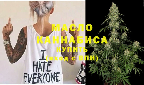 крисы Гатчина