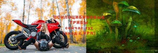 шишки Гвардейск