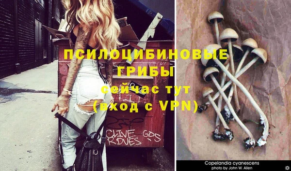 МДПВ Липки