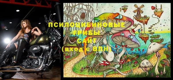 дурь Лабытнанги