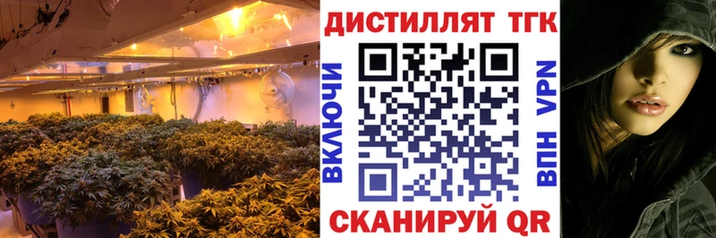 Дистиллят ТГК Wax  Купить где  Купино 